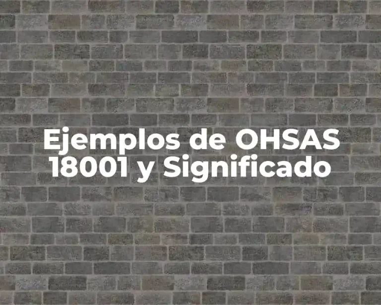 Ejemplos de OHSAS 18001 y Significado