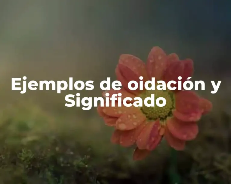 Ejemplos de oidación y Significado