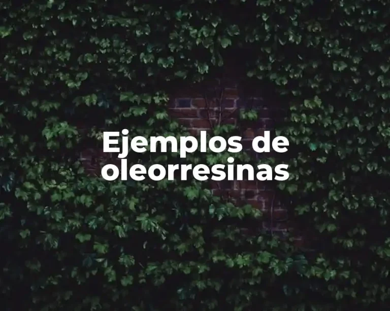 Ejemplos de oleorresinas