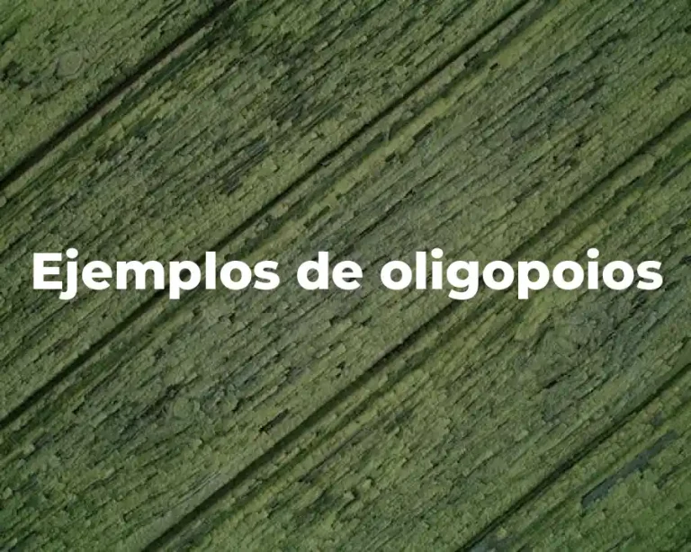 Ejemplos de oligopoios