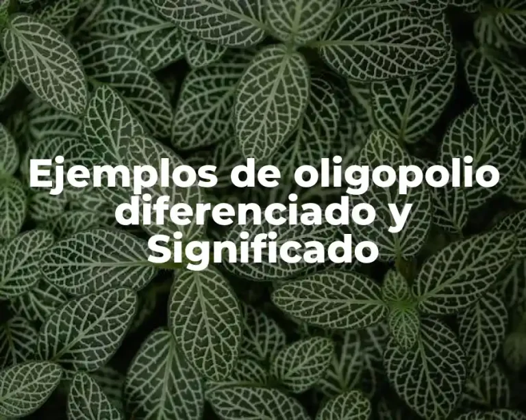 Ejemplos de oligopolio diferenciado y Significado
