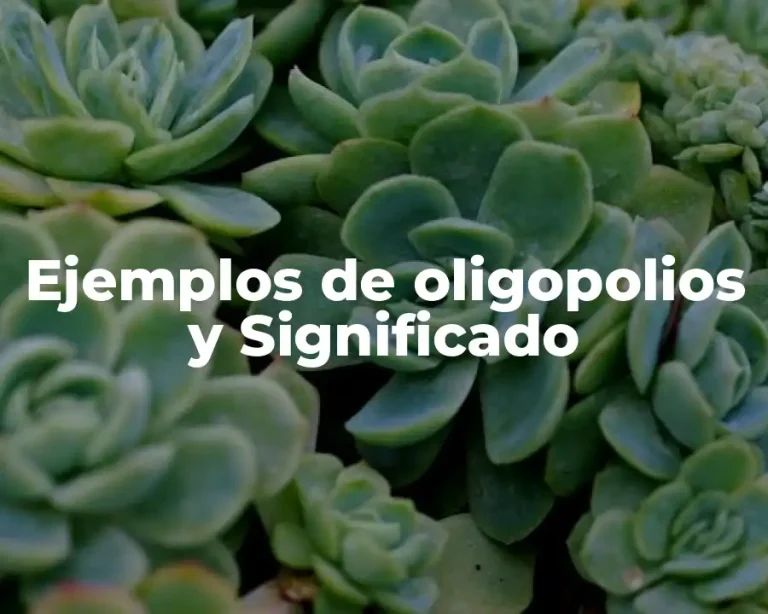 Ejemplos de oligopolios y Significado