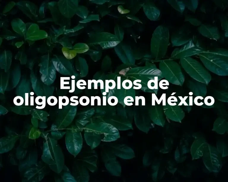 Ejemplos de oligopsonio en México