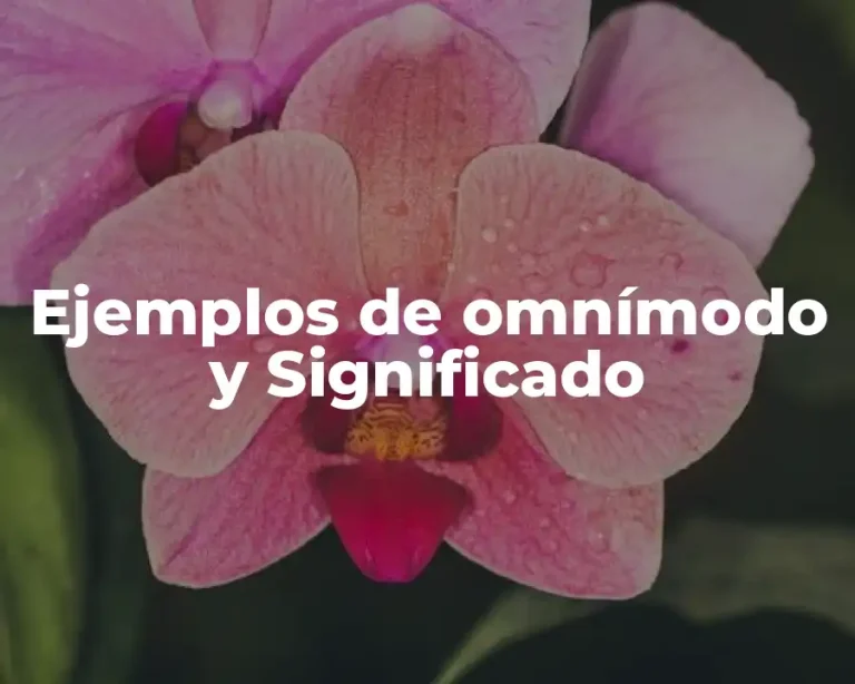 Ejemplos de omnímodo y Significado