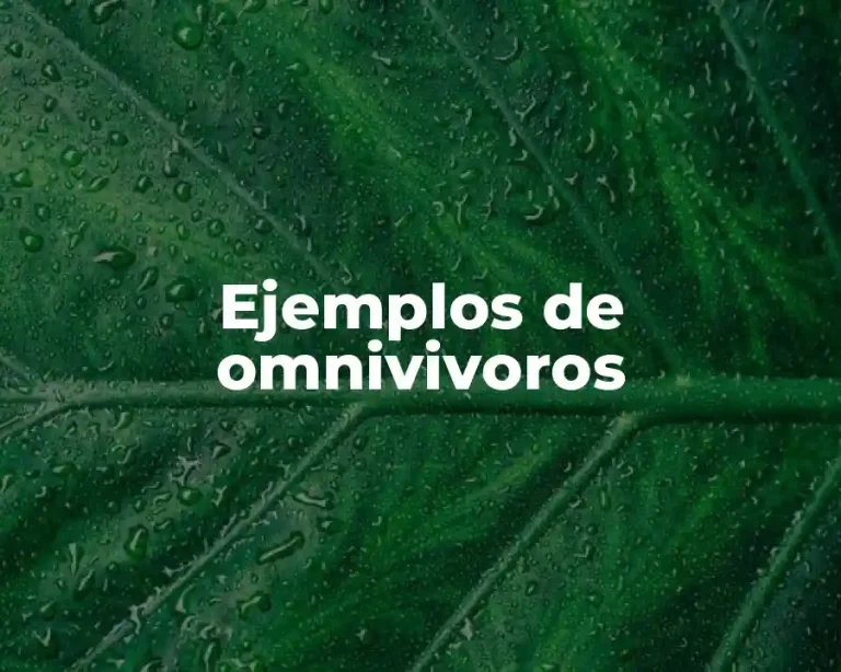 Ejemplos de omnivivoros