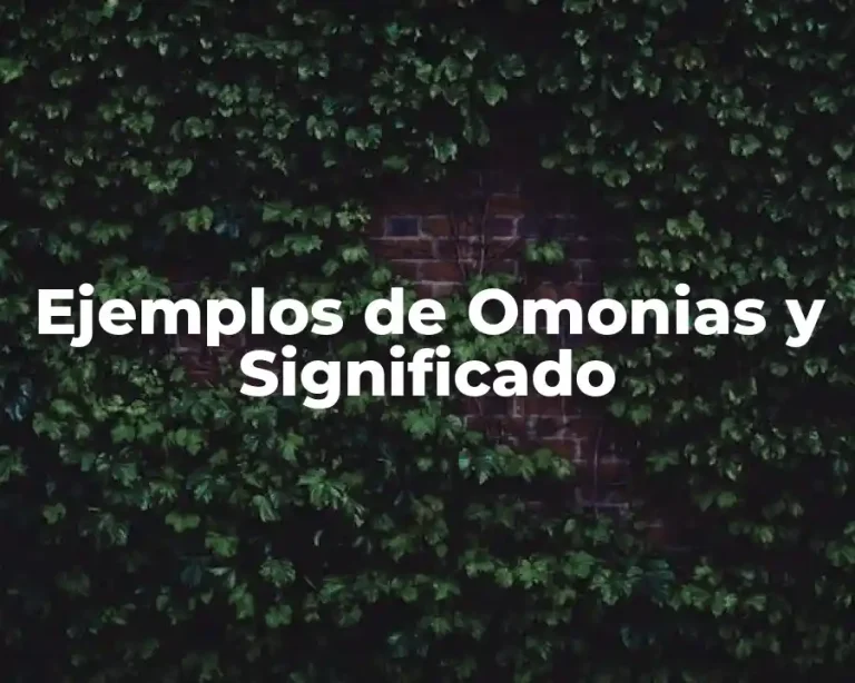 Ejemplos de Omonias y Significado