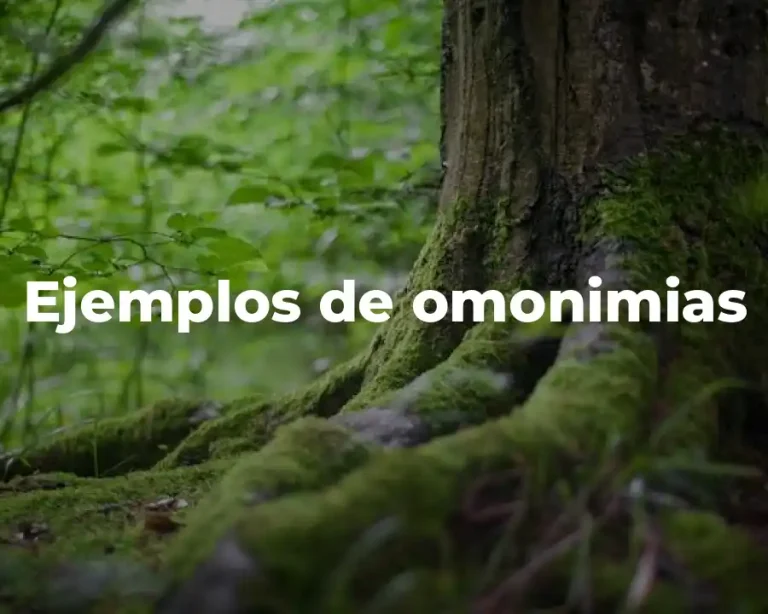 Ejemplos de omonimias