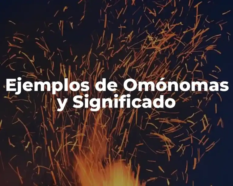 Ejemplos de Omónomas y Significado