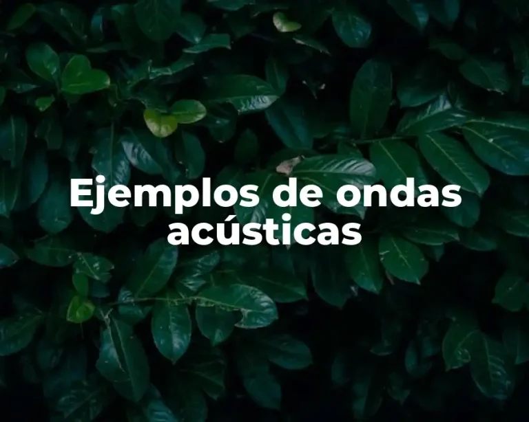 Ejemplos de ondas acústicas