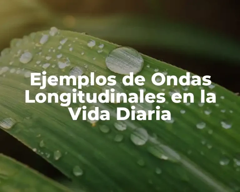 Ejemplos de Ondas Longitudinales en la Vida Diaria