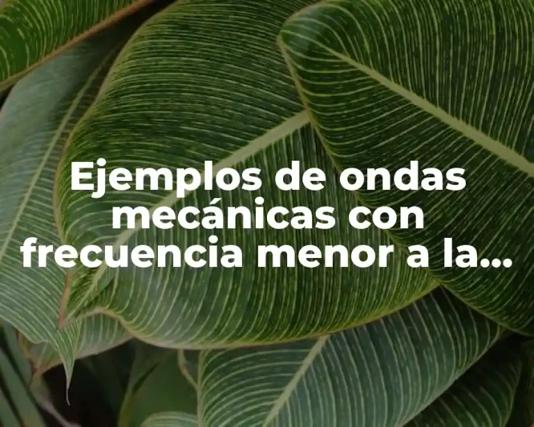 Ejemplos de ondas mecánicas con frecuencia menor a la audible