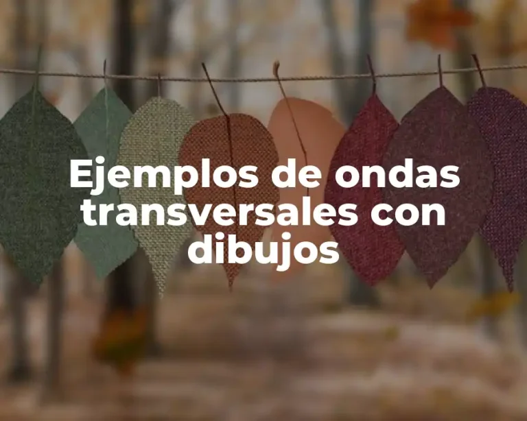 Ejemplos de ondas transversales con dibujos