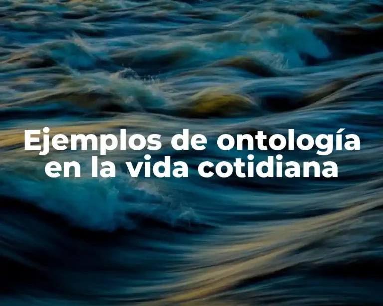 Ejemplos de ontología en la vida cotidiana