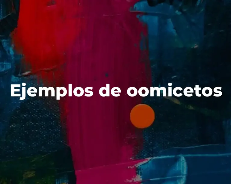 Ejemplos de oomicetos