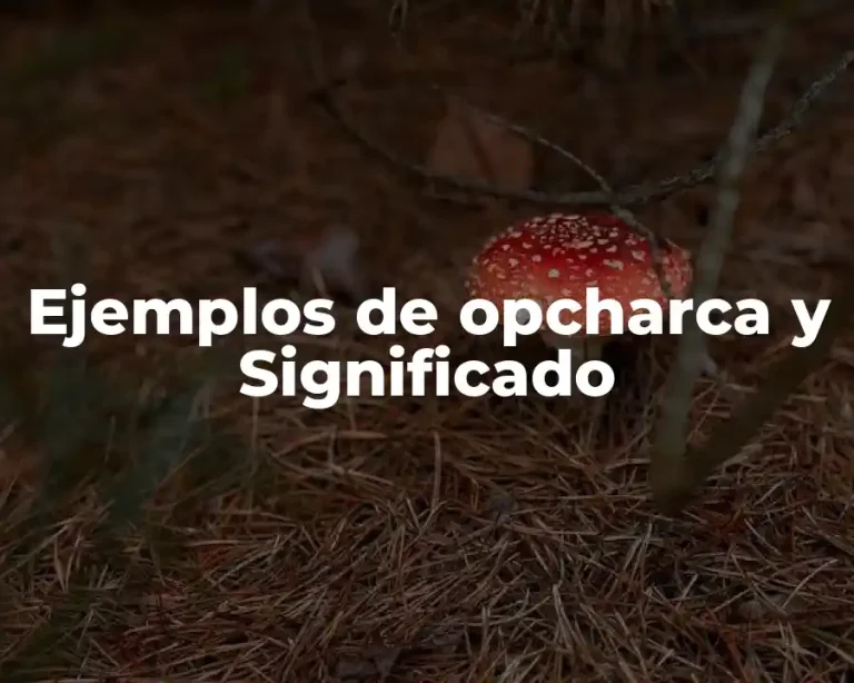 Ejemplos de opcharca y Significado