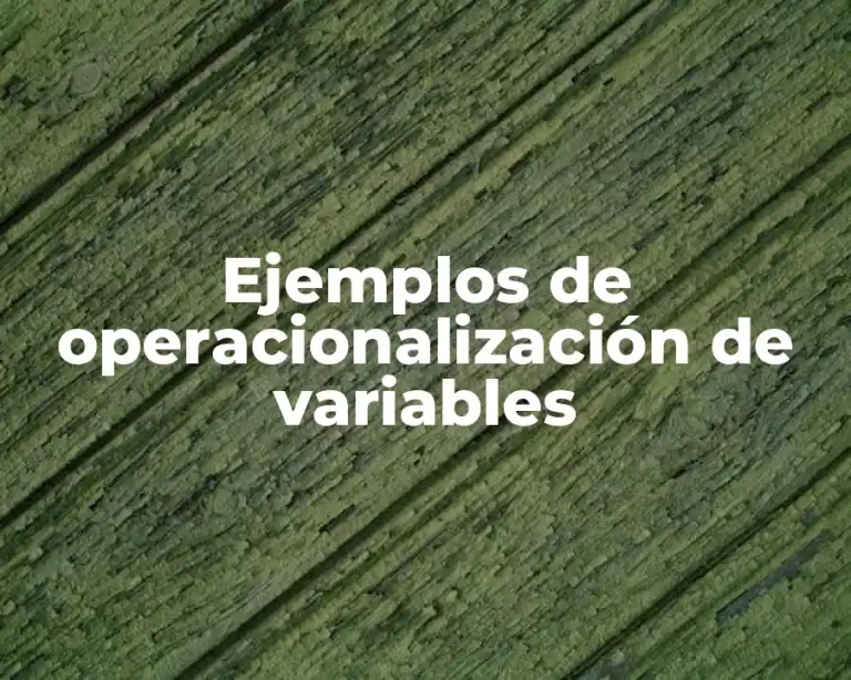 Ejemplos de operacionalización de variables