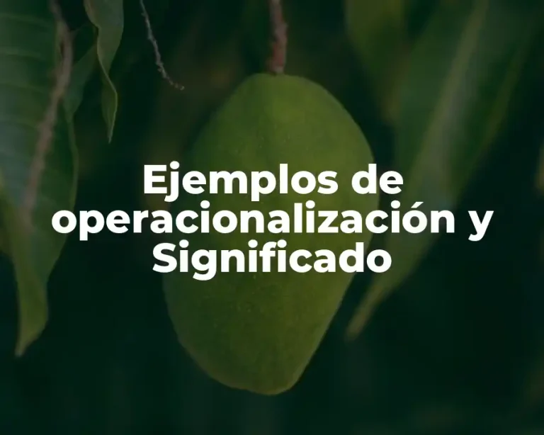 Ejemplos de operacionalización y Significado