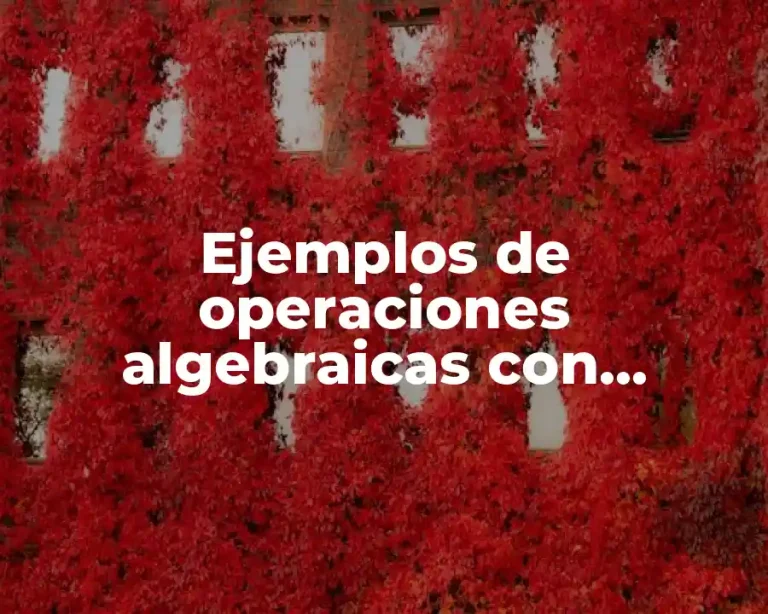 Ejemplos de operaciones algebraicas con polinomios ley de los exponentes y Significado