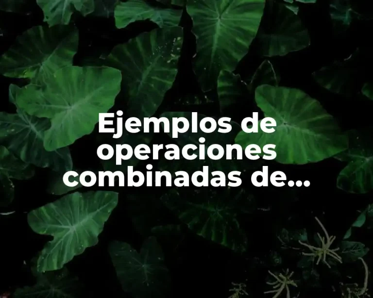 Ejemplos de operaciones combinadas de multiplicación y división