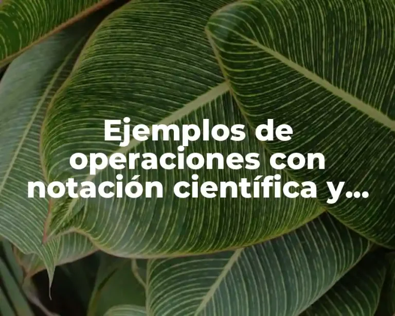 Ejemplos de operaciones con notación científica y Significado