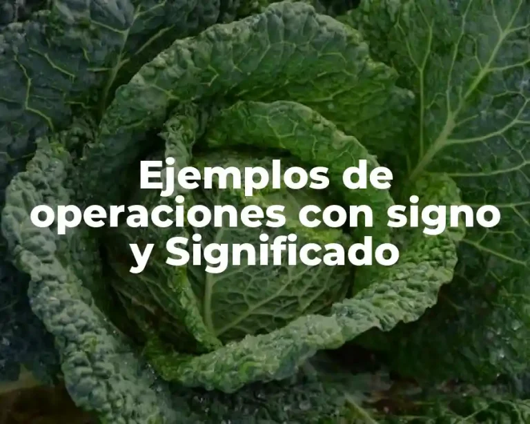 Ejemplos de operaciones con signo y Significado