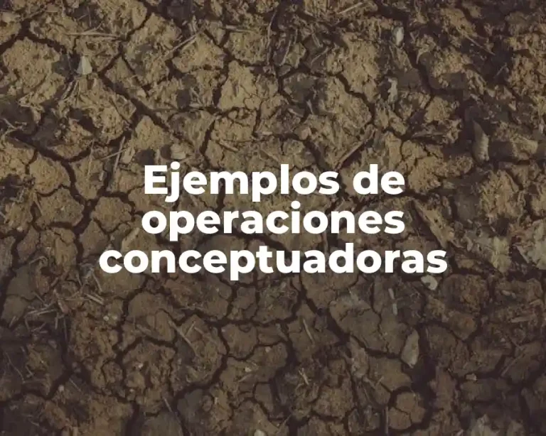 Ejemplos de operaciones conceptuadoras