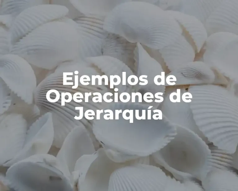 Ejemplos de Operaciones de Jerarquía