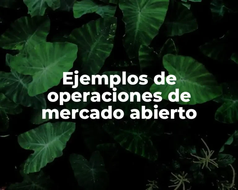 Ejemplos de operaciones de mercado abierto