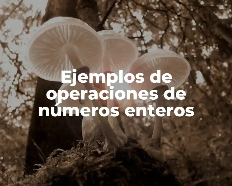 Ejemplos de operaciones de números enteros