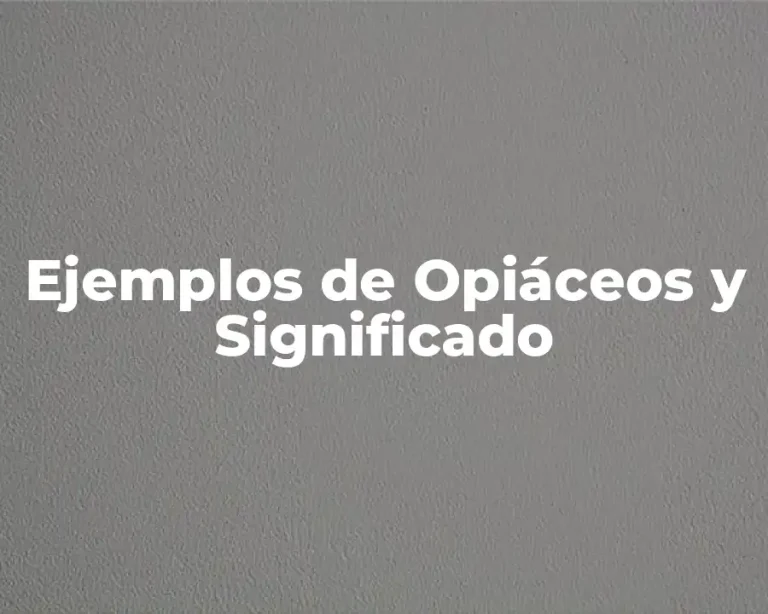 Ejemplos de Opiáceos y Significado