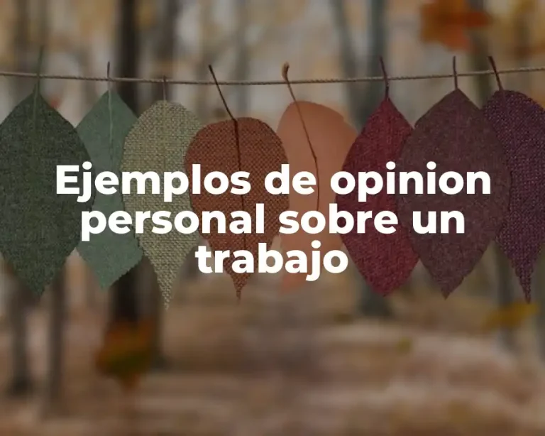 Ejemplos de opinion personal sobre un trabajo