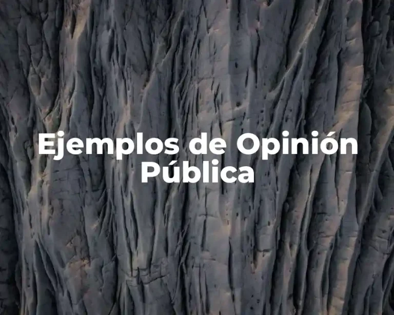 Ejemplos de Opinión Pública