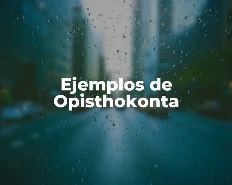 Ejemplos de Opisthokonta