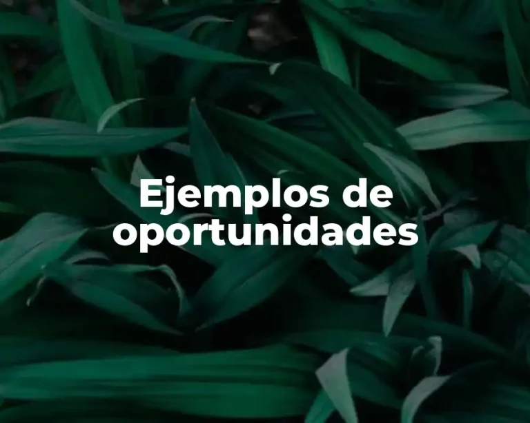Ejemplos de oportunidades