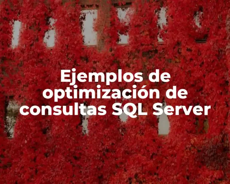 Ejemplos de optimización de consultas SQL Server