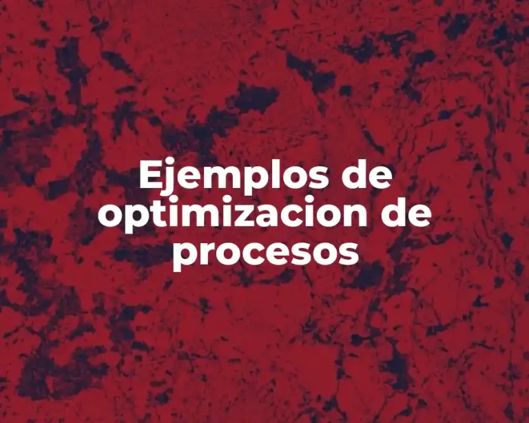 Ejemplos de optimizacion de procesos
