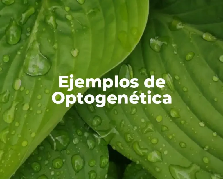 Ejemplos de Optogenética