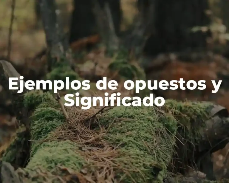 Ejemplos de opuestos y Significado