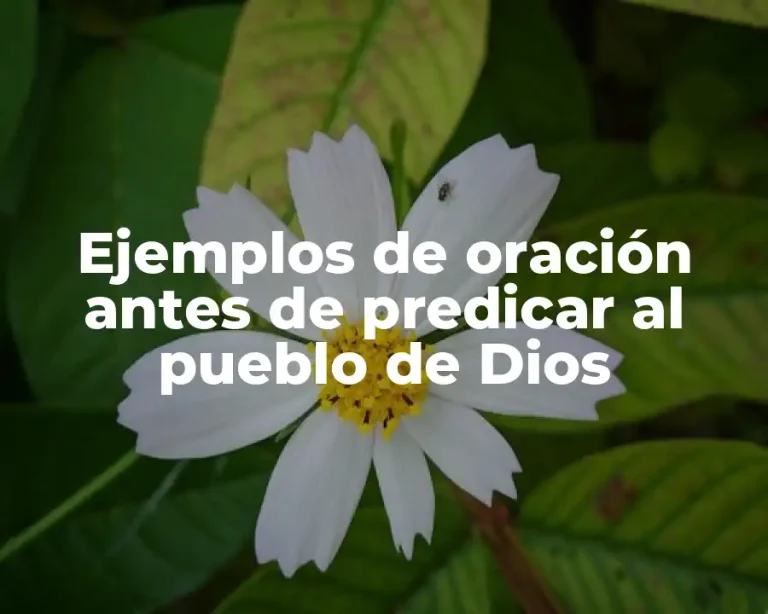 Ejemplos de oración antes de predicar al pueblo de Dios
