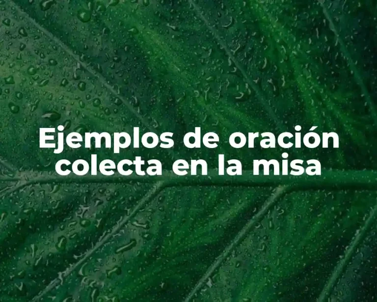 Ejemplos de oración colecta en la misa