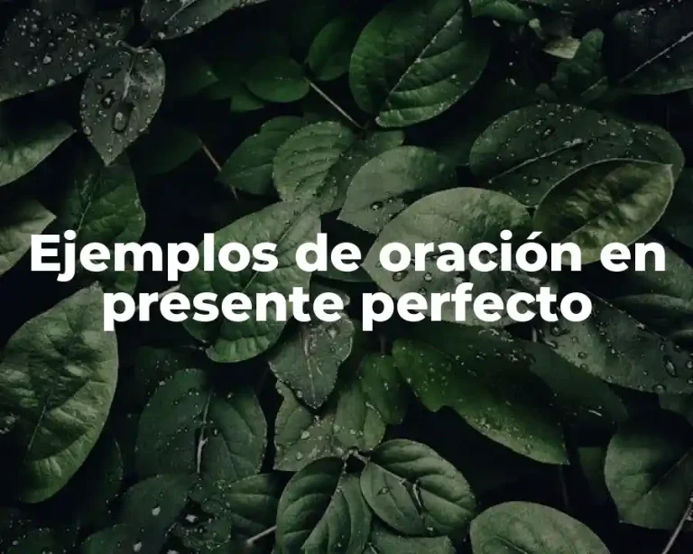 Ejemplos de oración en presente perfecto