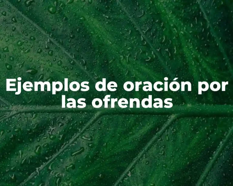Ejemplos de oración por las ofrendas