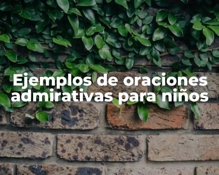 Ejemplos de oraciones admirativas para niños