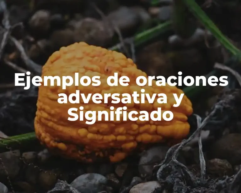 Ejemplos de oraciones adversativa y Significado