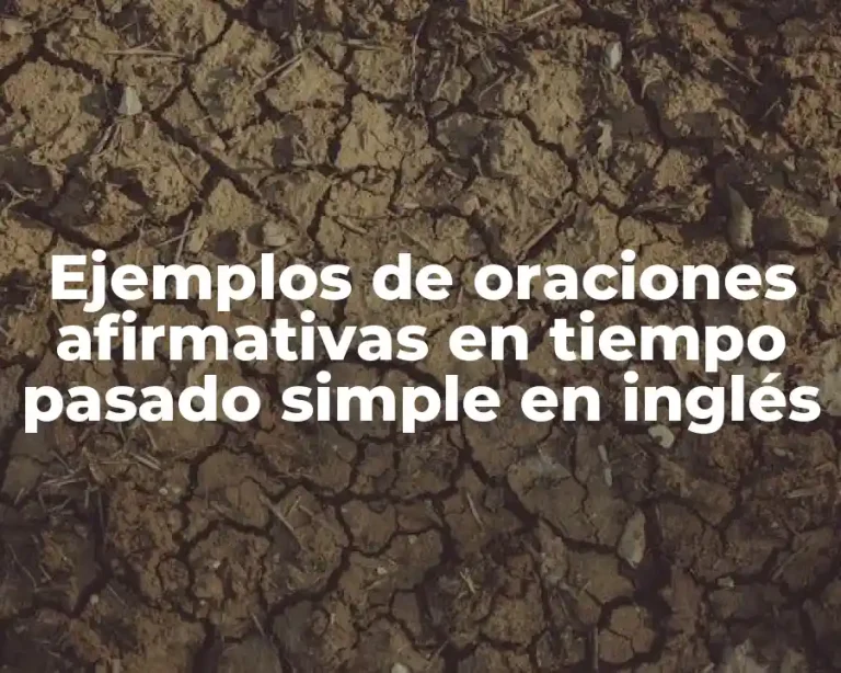 Ejemplos de oraciones afirmativas en tiempo pasado simple en inglés