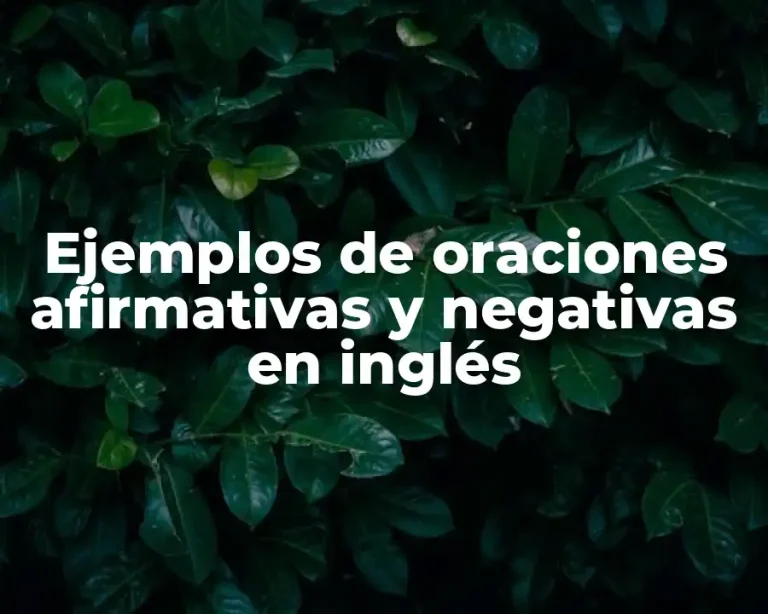 Ejemplos de oraciones afirmativas y negativas en inglés