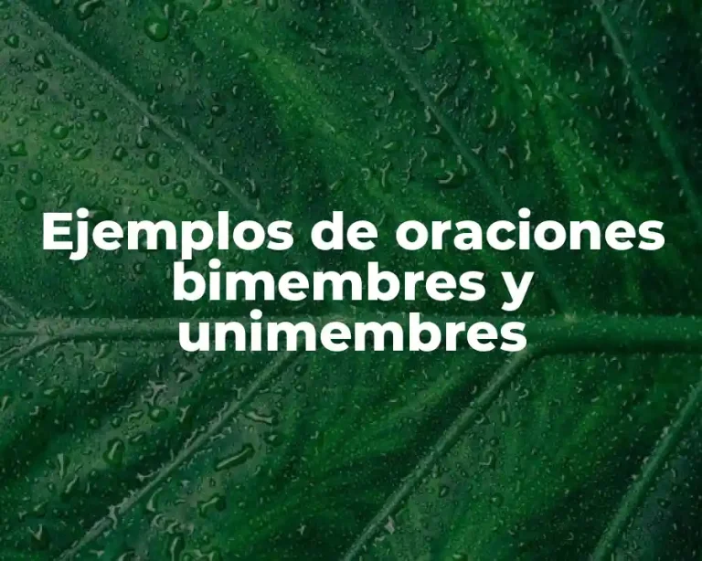 Ejemplos de oraciones bimembres y unimembres