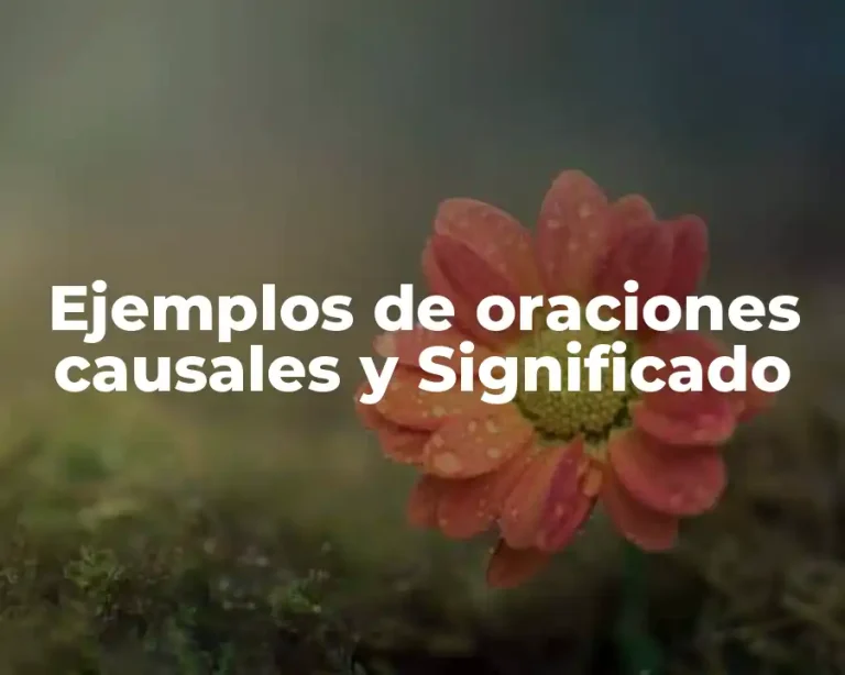 Ejemplos de oraciones causales y Significado