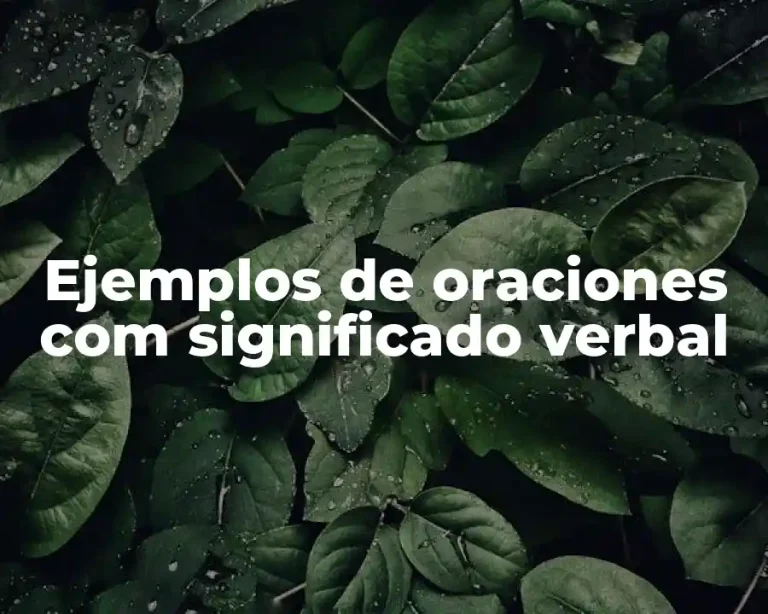 Ejemplos de oraciones com significado verbal