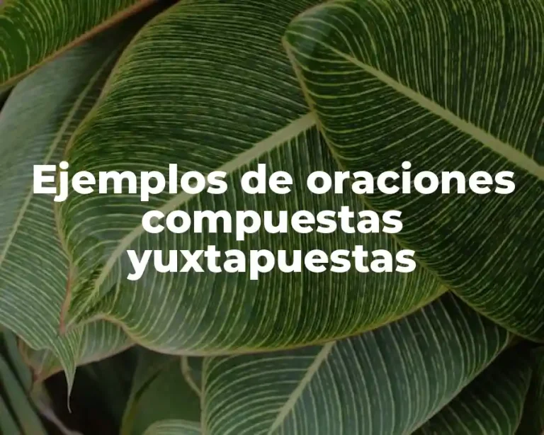 Ejemplos de oraciones compuestas yuxtapuestas